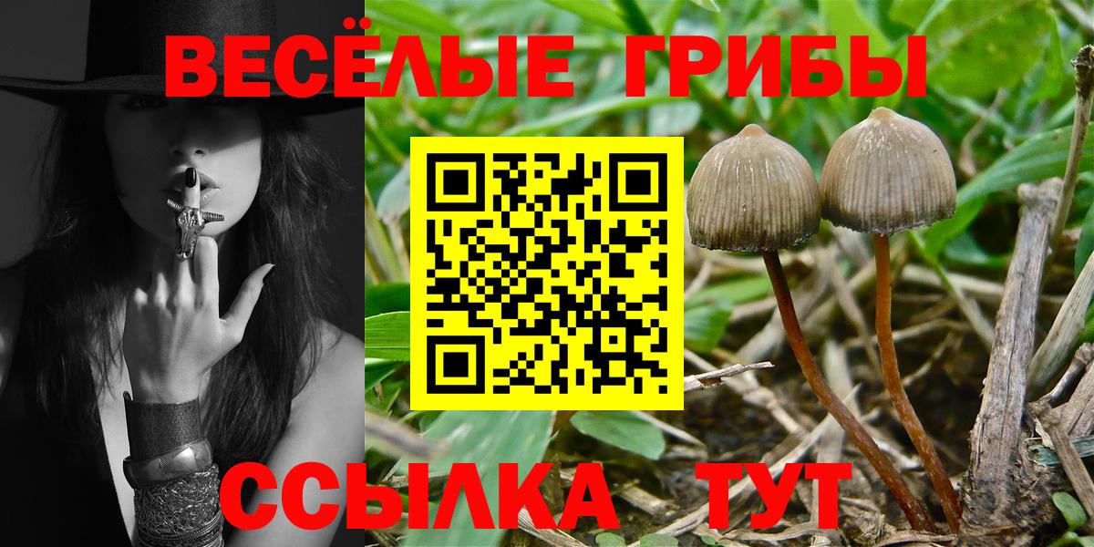 Псилоцибиновые грибы ЛСД  Галлюциногенные грибы GOLDEN TEACHER  Кизилюрт  хочу наркоту  Вход с VPN 