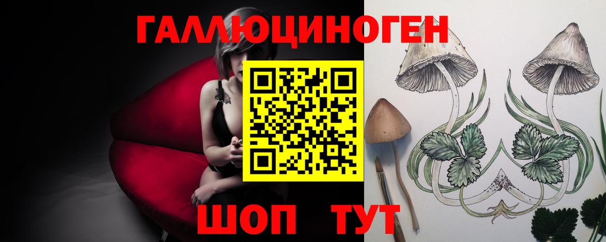 Псилоцибиновые грибы прущие грибы Кизилюрт